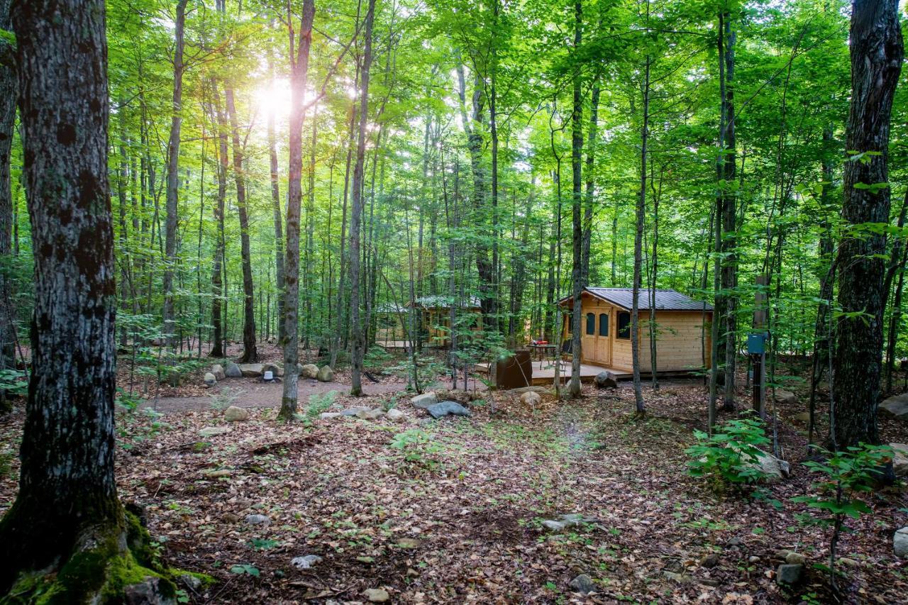 Madawaska Lodge-Cottage Экстерьер фото